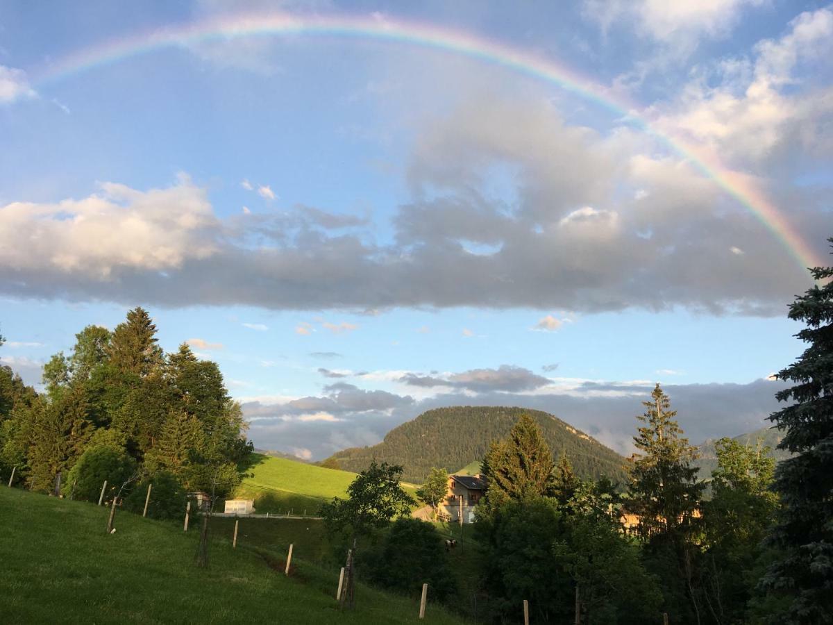 Bauernhof Bilgeri Villa Hittisau Kültér fotó